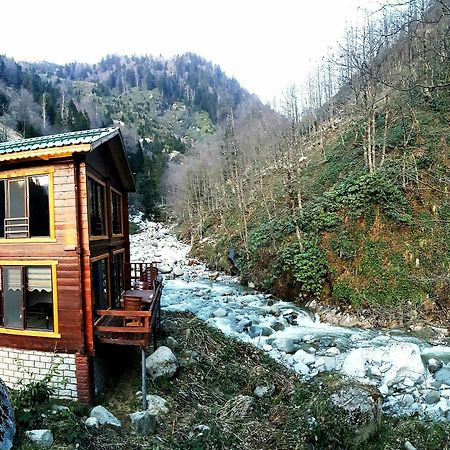 Ayder Elizan Otel Çamlıhemşin Dış mekan fotoğraf