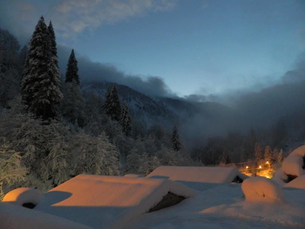Ayder Elizan Otel Çamlıhemşin Dış mekan fotoğraf