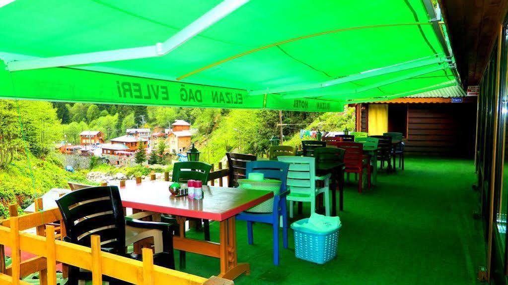 Ayder Elizan Otel Çamlıhemşin Dış mekan fotoğraf