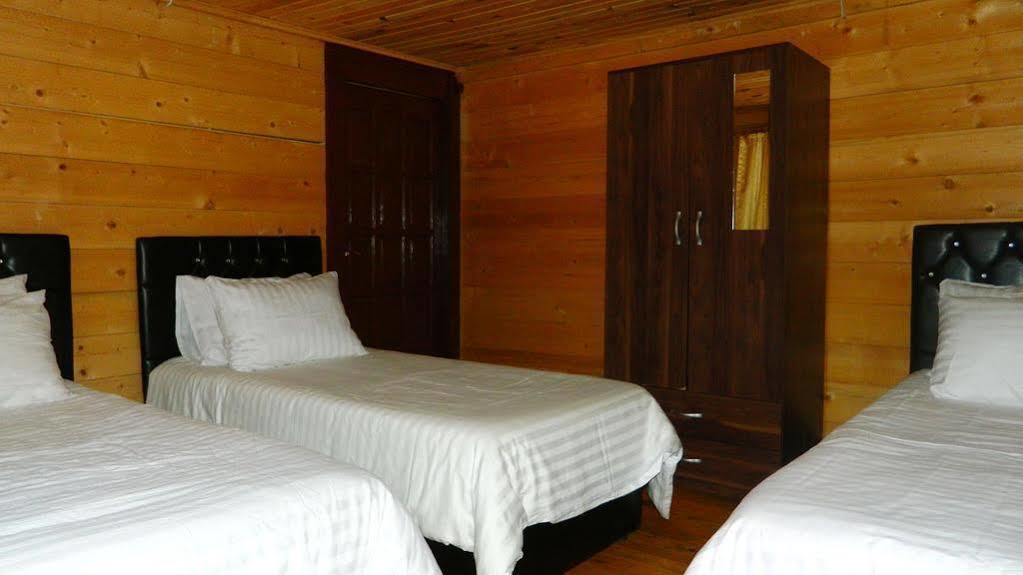 Ayder Elizan Otel Çamlıhemşin Dış mekan fotoğraf