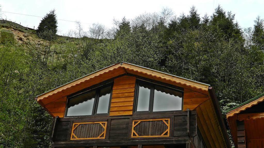 Ayder Elizan Otel Çamlıhemşin Dış mekan fotoğraf