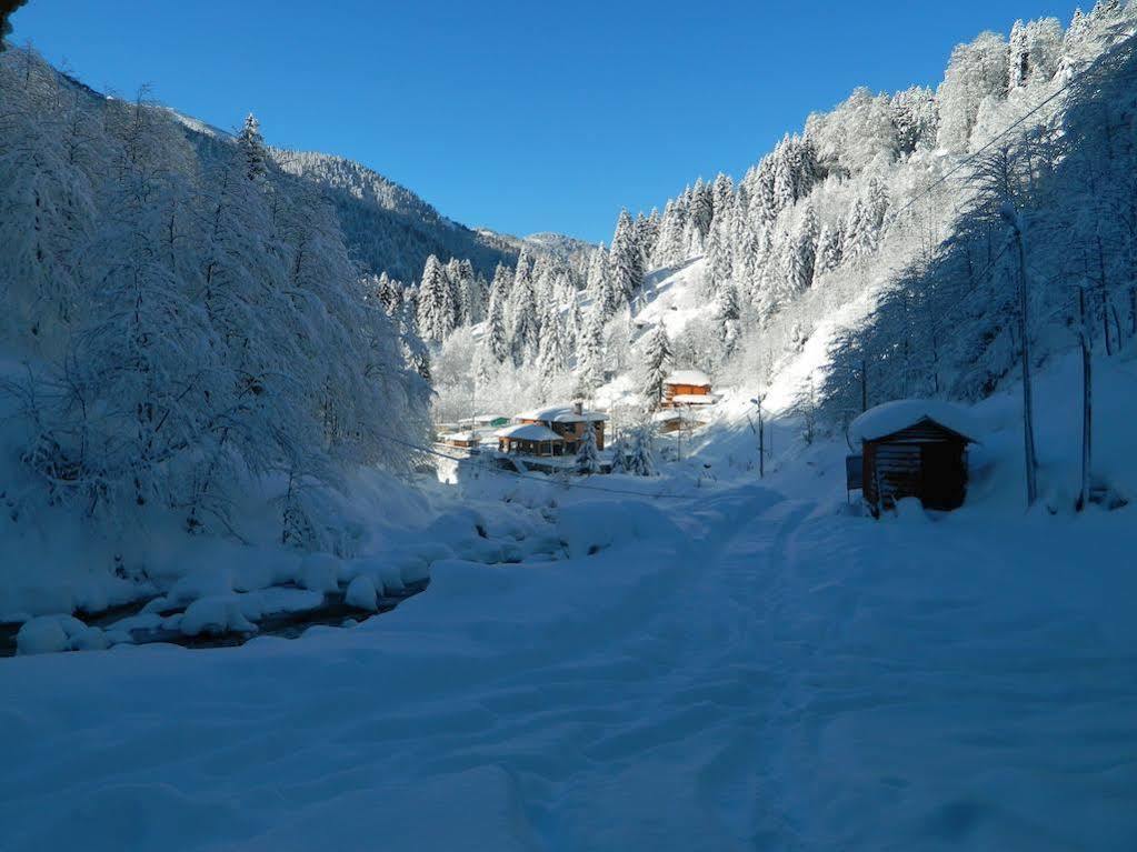 Ayder Elizan Otel Çamlıhemşin Dış mekan fotoğraf