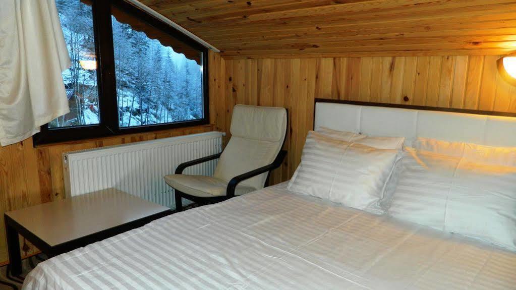 Ayder Elizan Otel Çamlıhemşin Dış mekan fotoğraf