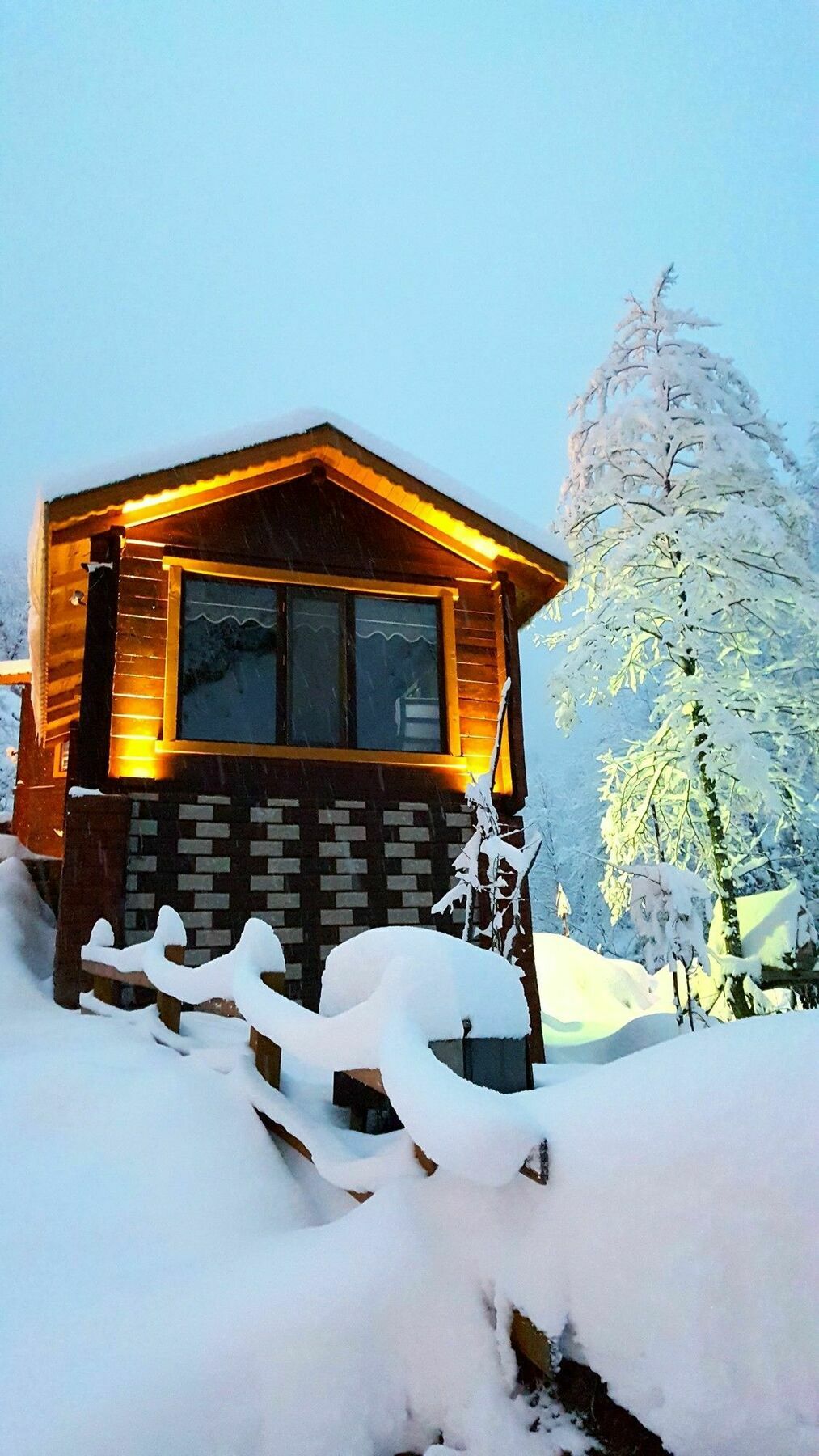 Ayder Elizan Otel Çamlıhemşin Dış mekan fotoğraf